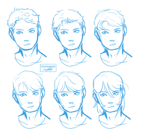 Stages of Hair Growth